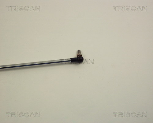 TRISCAN 8710 14210 Gasfjäder, bagageutrymme