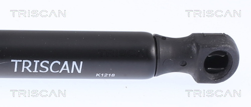 TRISCAN 8710 14221 Gasfjäder, bagageutrymme