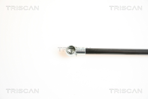 TRISCAN 8710 14234 Gasfjäder, bagageutrymme