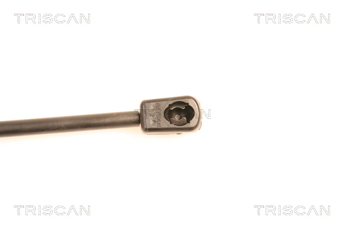 TRISCAN 8710 14238 Gasfjäder, bagageutrymme