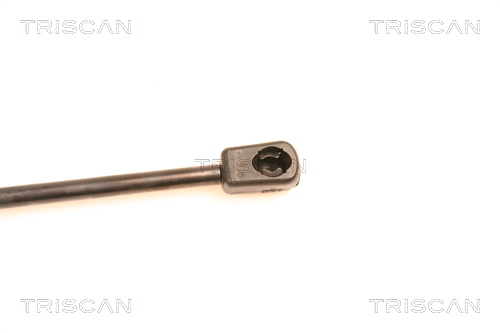 TRISCAN 8710 14239 Gasfjäder, bagageutrymme
