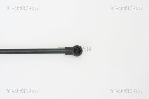 TRISCAN 8710 14242 Gasfjäder, bagageutrymme