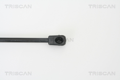 TRISCAN 8710 14243 Gasfjäder, bagageutrymme