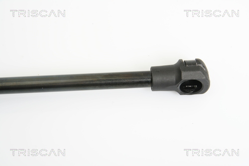 TRISCAN 8710 14245 Gasfjäder, bagageutrymme