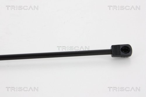 TRISCAN 8710 14246 Gasfjäder, bagageutrymme