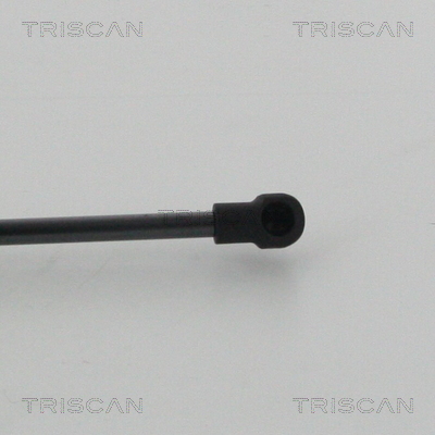 TRISCAN 8710 14254 Gasfjäder, bagageutrymme