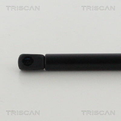 TRISCAN 8710 14255 Gasfjäder, bagageutrymme