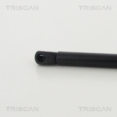 TRISCAN 8710 14256 Gasfjäder, bagageutrymme
