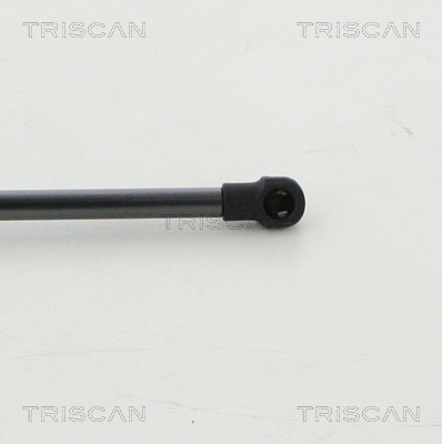 TRISCAN 8710 14258 Gasfeder, Koffer-/Laderaum