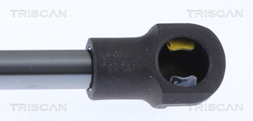 TRISCAN 8710 14260 Gasfeder, Koffer-/Laderaum
