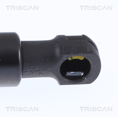 TRISCAN 8710 14261 Gasfjäder, bagageutrymme