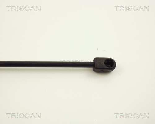TRISCAN 8710 1502 Gasfjäder, bagageutrymme