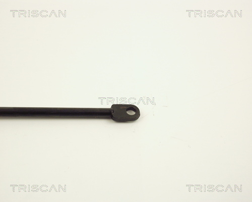 TRISCAN 8710 1506 Gasfjäder, bagageutrymme