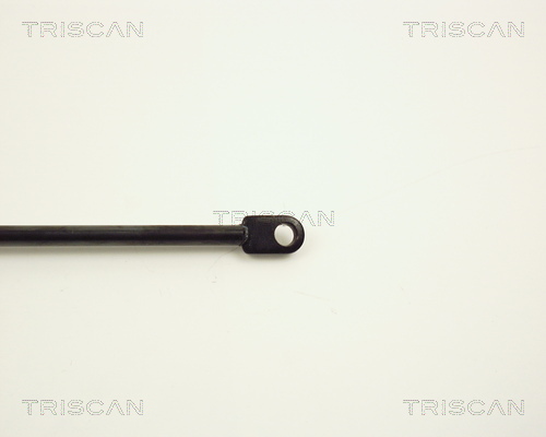 TRISCAN 8710 1507 Gasfjäder, bagageutrymme