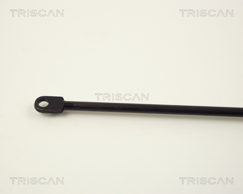 TRISCAN 8710 1509 Gasfjäder, bagageutrymme