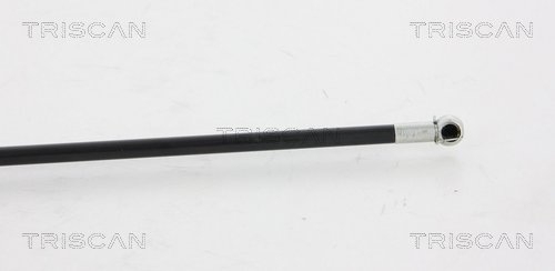 TRISCAN 8710 15101 Gasfeder, Motorhaube