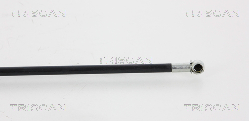 TRISCAN 8710 15102 Gasfeder, Motorhaube