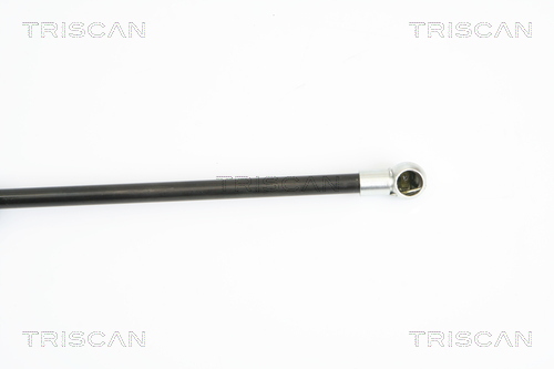 TRISCAN 8710 15105 Gasfeder, Motorhaube