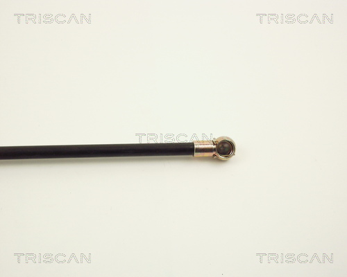 TRISCAN 8710 1513 Gasfjäder, bagageutrymme
