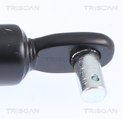 TRISCAN 8710 15216 Gasfeder, Koffer-/Laderaum