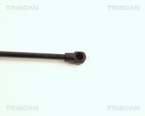 TRISCAN 8710 15221 Gasfjäder, bagageutrymme
