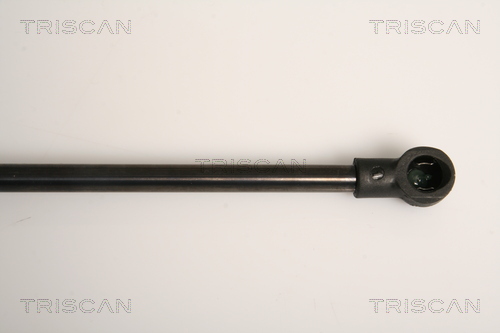 TRISCAN 8710 15241 Gasfeder, Koffer-/Laderaum