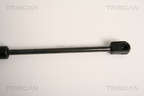 TRISCAN 8710 15242 Gasfeder, Heckscheibe