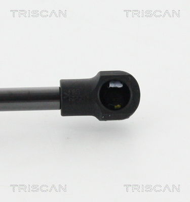 TRISCAN 8710 15251 Gasfjäder, bagageutrymme