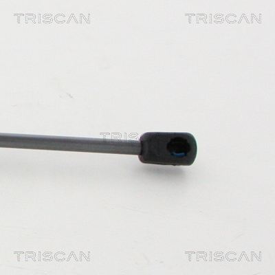 TRISCAN 8710 15254 Gasfjäder, bagageutrymme