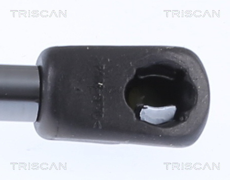 TRISCAN 8710 15258 Gasfjäder, bagageutrymme
