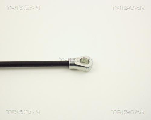 TRISCAN 8710 1601 Gasfjäder, bagageutrymme