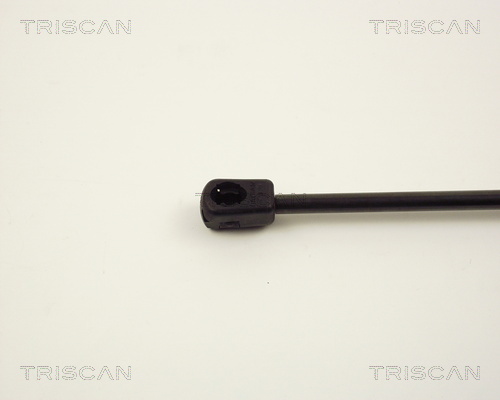 TRISCAN 8710 1606 Gasfjäder, bagageutrymme