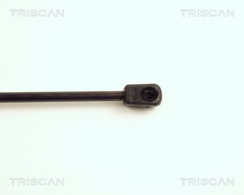 TRISCAN 8710 16100 Gasfeder, Motorhaube
