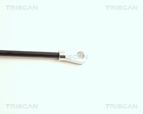TRISCAN 8710 16102 Gasfeder, Motorhaube