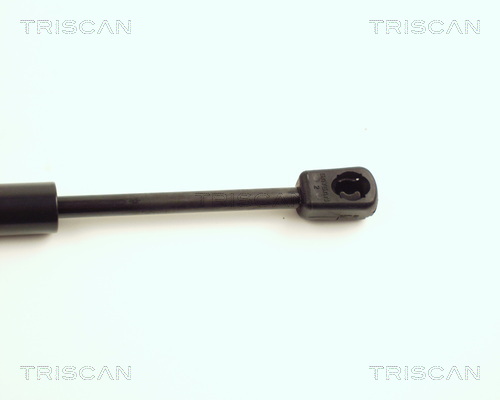 TRISCAN 8710 16104 Gasfeder, Motorhaube