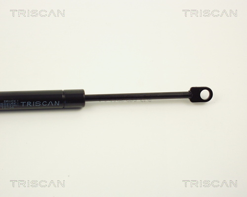 TRISCAN 8710 1613 Gasfjäder, bagageutrymme