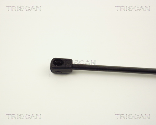 TRISCAN 8710 1616 Gasfjäder, bagageutrymme