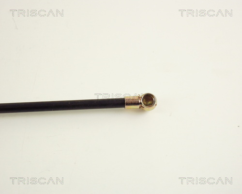 TRISCAN 8710 16206 Gasfeder, Koffer-/Laderaum