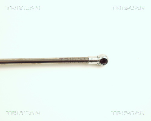 TRISCAN 8710 16217 Gasfjäder, bagageutrymme
