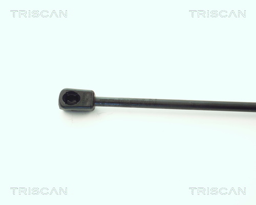 TRISCAN 8710 1621 Gasfjäder, bagageutrymme