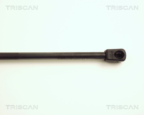 TRISCAN 8710 16221 Gasfjäder, bagageutrymme