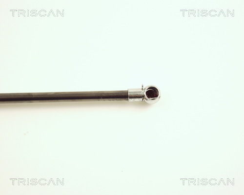 TRISCAN 8710 16228 Gasfjäder, bagageutrymme