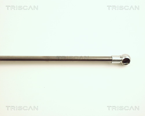TRISCAN 8710 16229 Gasfjäder, bagageutrymme