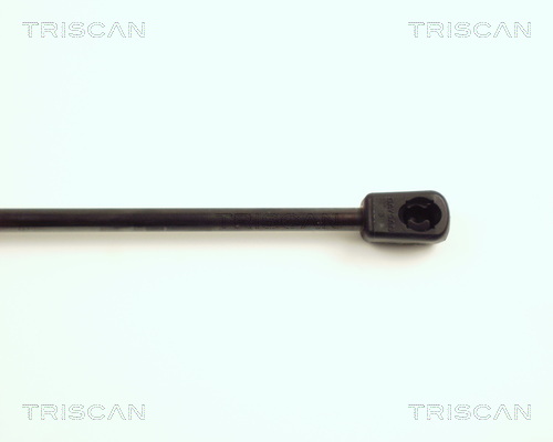 TRISCAN 8710 16230 Gasfjäder, bagageutrymme