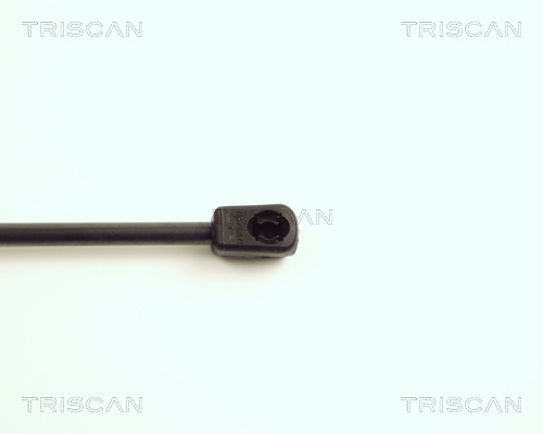 TRISCAN 8710 16232 Gasfjäder, bagageutrymme