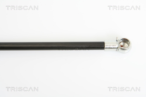 TRISCAN 8710 16241 Gasfjäder, bagageutrymme