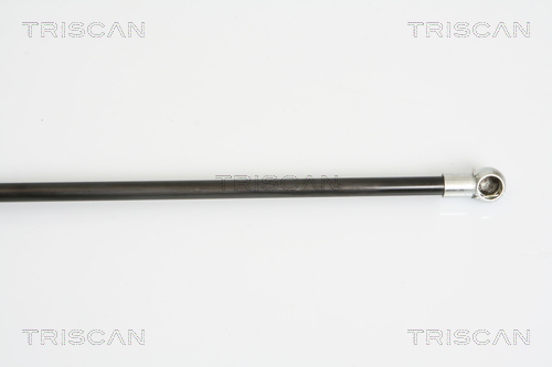 TRISCAN 8710 16246 Gasfjäder, bagageutrymme