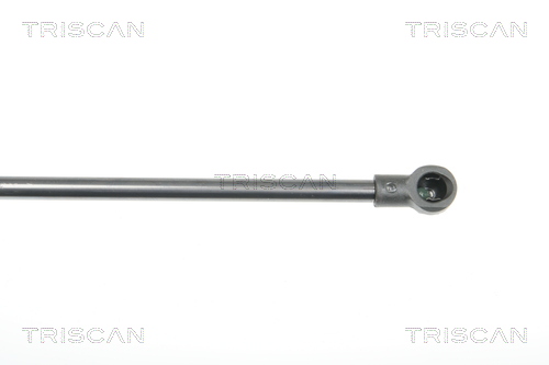 TRISCAN 8710 16252 Gasfjäder, bagageutrymme