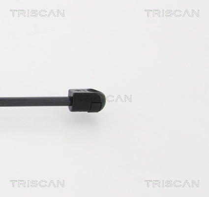 TRISCAN 8710 16255 Gasfjäder, bagageutrymme