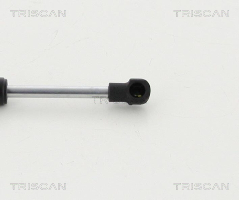 TRISCAN 8710 16256 Gasfjäder, bagageutrymme